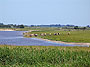 Westerdeichstrich von der Nordsee aus gesehen